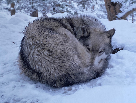 duetart - Charlotte Dumas, Robert Devriendt, Hellen Van Meene
